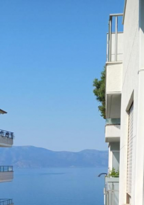 Comfortable apartment with sea view